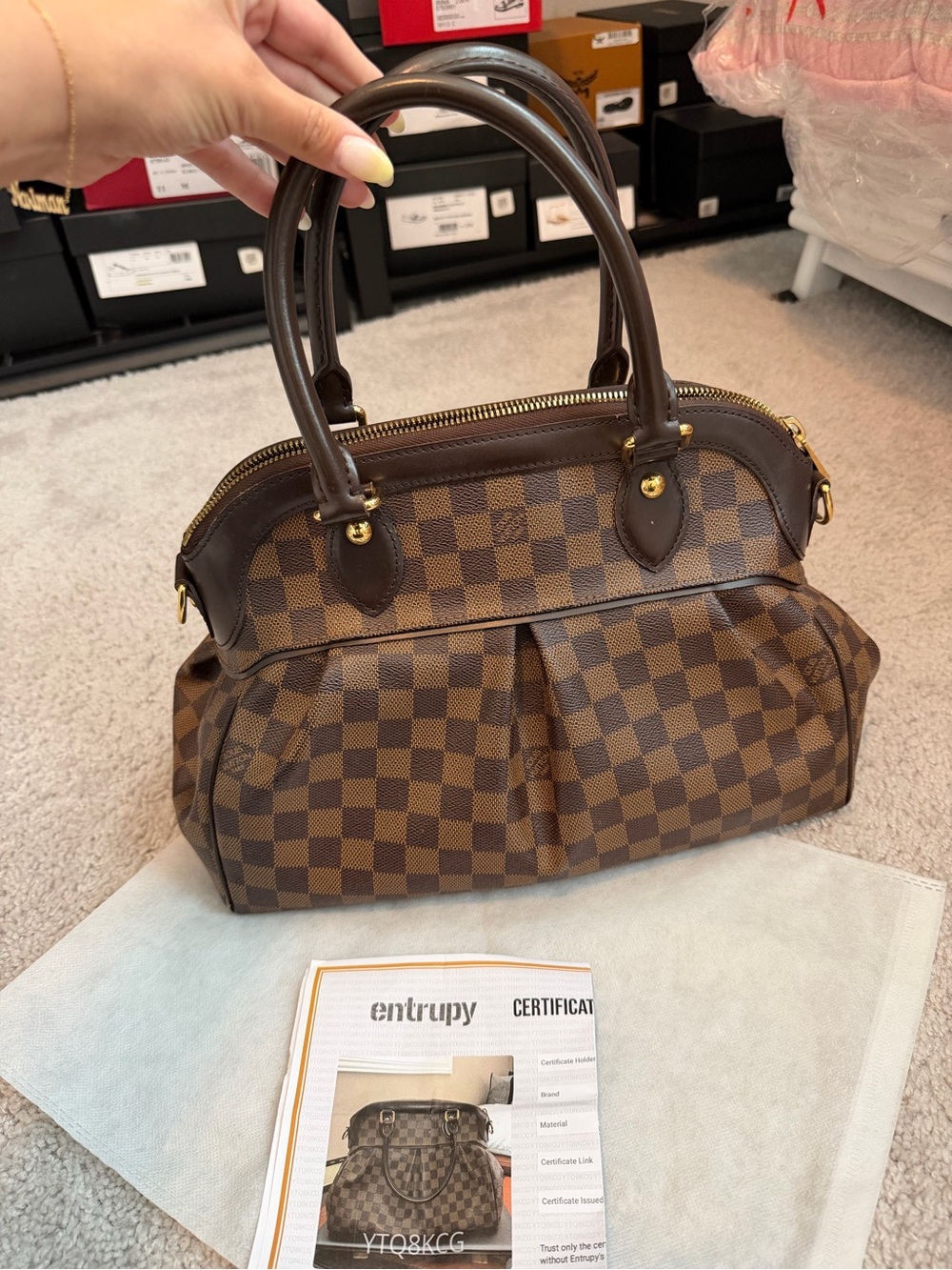 Louis Vuitton Damier Ebene Trevi PM Bag! - Picture 2 of 10